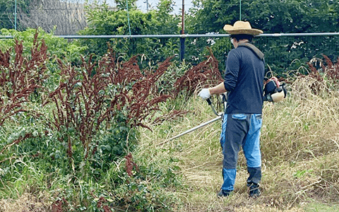 草刈り作業イメージ